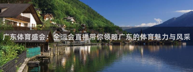蜘蛛体育官网入口：广东体育盛会：全运会直播带你领略广东的体育魅力与风采