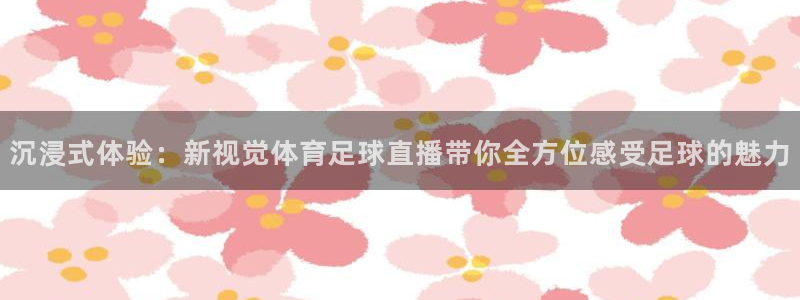 蜘蛛篮球