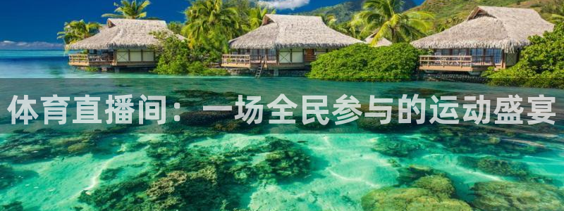 足球小蜘蛛