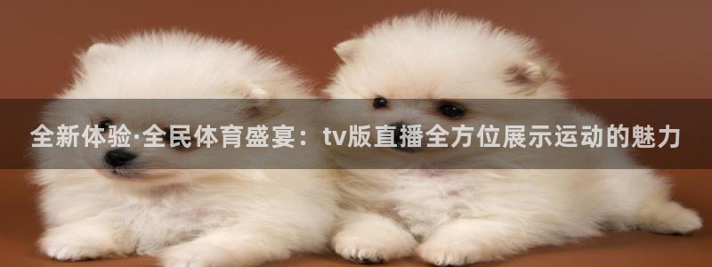 蜘蛛体育小狐狸