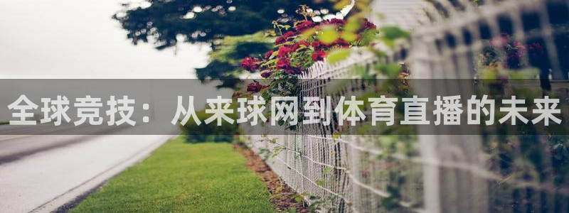 蜘蛛体育免费直播：全球竞技：从来球网到体育直播的未来