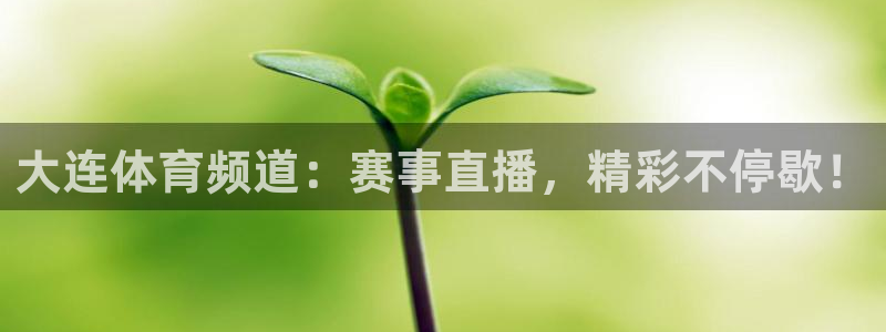 蜘蛛足球：大连体育频道：赛事直播，精彩不停歇！