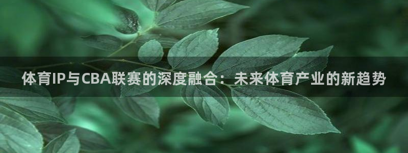 蜘蛛直播球地带：体育IP与CBA联赛的深度融合：未来体育产业的新趋势