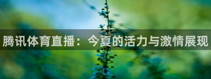 蜘蛛直播体育免费直播：腾讯体育直播：今夏的活力与激情展现