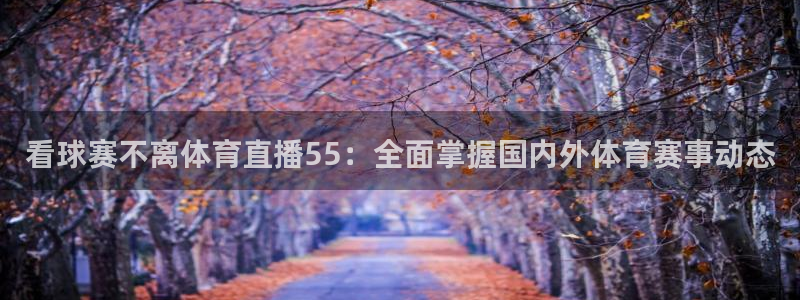 jrs蜘蛛直播球帝带：看球赛不离体育直播55：全面掌握国内外体育赛事动态