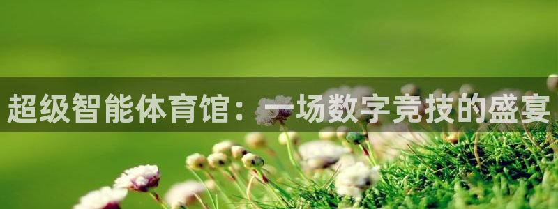 蜘蛛体育官网入口：超级智能体育馆：一场数字竞技的盛宴