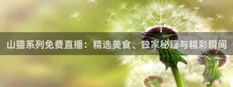 nba免费直播在线直播蜘蛛直播：山猫系列免费直播：精选美食、独家秘籍与精彩瞬间