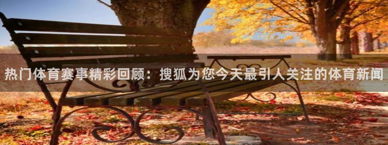 蜘蛛体育直播免费高清在线观看：热门体育赛事精彩回顾：搜狐为您今天最引人关注的体育新闻