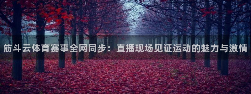 nba直播免费观看直播在线蜘蛛直播：筋斗云体育赛事全网同步：直播现场见证运动的魅力与激情