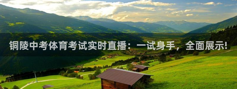 蜘蛛直播球地带