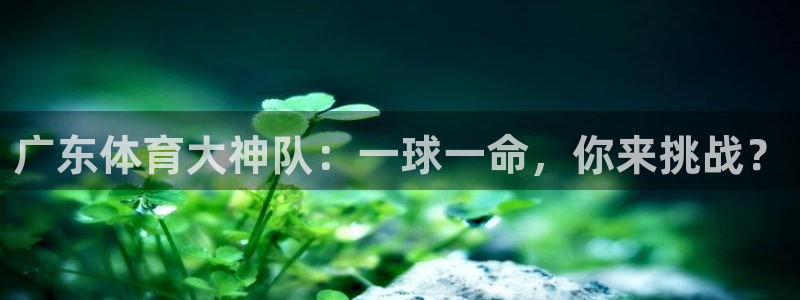 蜘蛛nba免费直播在线观看高清：广东体育大神队：一球一命，你来挑战？